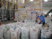 Thị trường lúa gạo Việt Nam 2016: Thừa lượng, thiếu chất